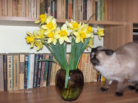 Daria cea romantica :)