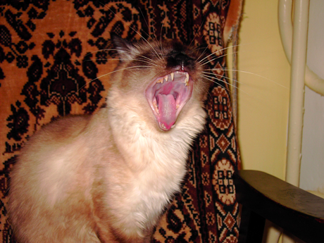 E doar un cascat… :)