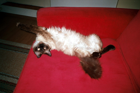 Stil de dormit boieresc :)